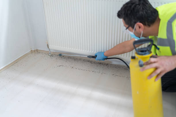 Best Pest Inspection Near Me  in Franklinton, NC