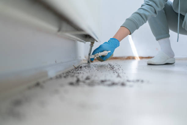 Best Residential Pest Control  in Franklinton, NC