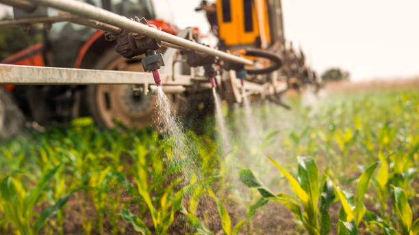 Best Ant Control Services  in Franklinton, NC